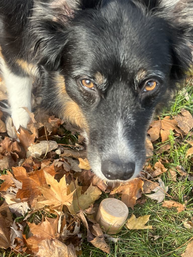 Founder Expedition Bundle — Kit + Seeder Pods ($55)