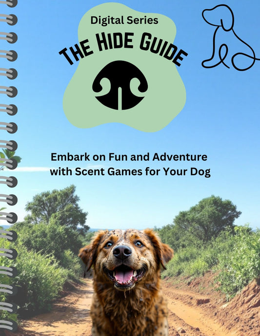 DIY Guide & The Hide Guide: 17 Scent Games + AI Training Bot