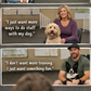 Geo-Sniffing Trainer Program: 6-Week Class + Monthly Revenue System
