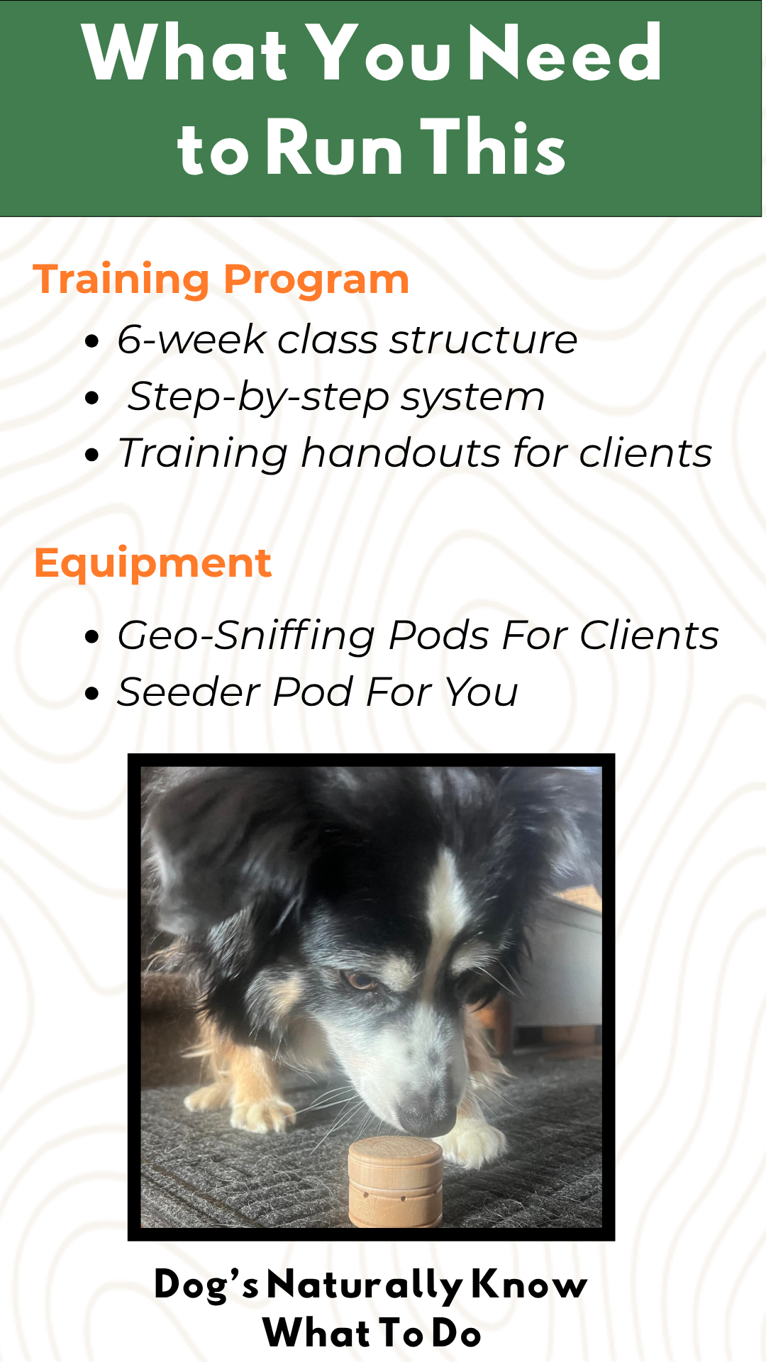 Geo-Sniffing Trainer Program: 6-Week Class + Monthly Revenue System